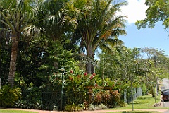 0227 Cairns Botanic Gardens